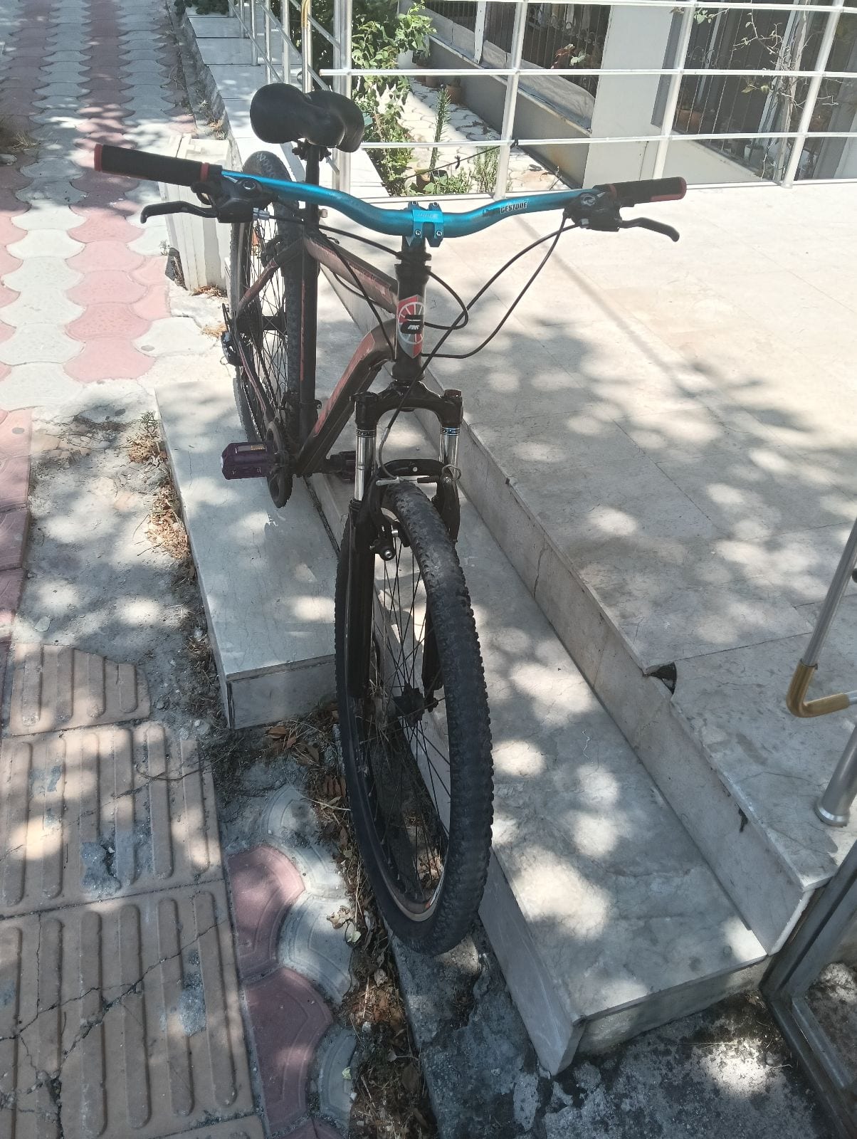 Arnica dağ bisikleti